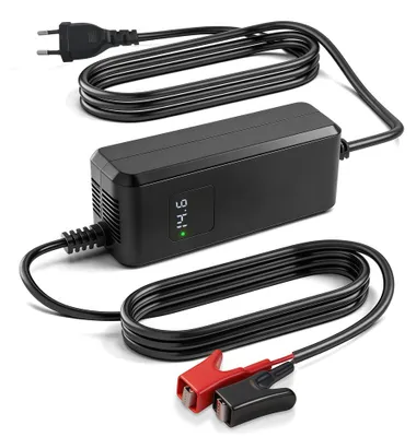 LiFePO4 Ladegerät 14,6 V 10 A mit Krokodilklemmen