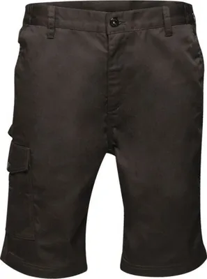 Produktbild von Regatta Professional - Pánské kraťasy RG4127 (48 DE R) (Black)