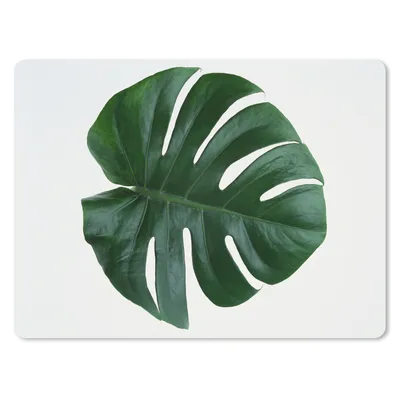 Produktbild von MuchoWow® Mauspad Mousepad Eine grüne botanische Lochpflanze 40x30 cm - Mousepads - Maus Mat - Pad - Mausunterlage - Anti Rutsch