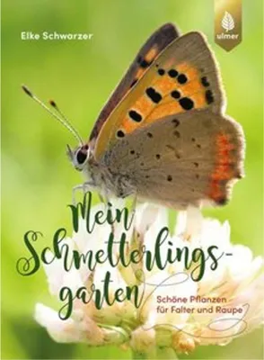 Image de Mein Schmetterlingsgarten