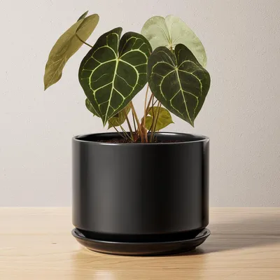 Immagine prodotto di Vaso in Vetroceramica per piante con sottovaso, 17 cm, bianco
