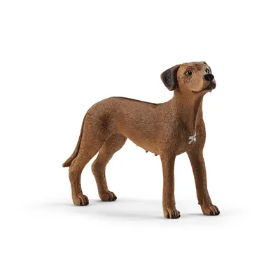 Produktbild von Schleich 13895 Rhodesian Ridgeback