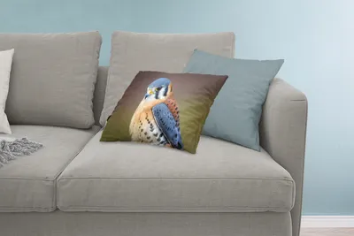 Produktbild von MuchoWow® Zierkissen Sofakissen Wohnzimmer Dekokissen 60x40 cm Vogel - Makro - Blau - Kopfkissen - Polster mit Foto