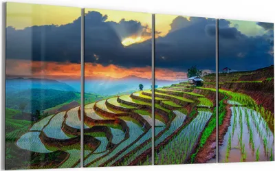 Produktbild von DEQORI Glasbild Echtglas 4x30x60 cm 'Reisterrassenfelder' Wandbilder XXL groß