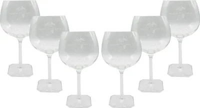 Produktbild von Martin Miller Ballonglas 6er Set Glas Gin Tonic Glas