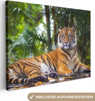 Produktbild von MuchoWow® - Leinwandbilder - Tiger - Tiere - Wald - Dschungel, Wandbild, Wanddeko Bilder Wohnzimmer, 120x90cm