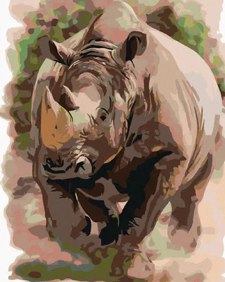 Produktbild von Zuty - Malen nach Zahlen - NASHORN, 40x50 cm, mit Keilrahmen (bereits gespannt)