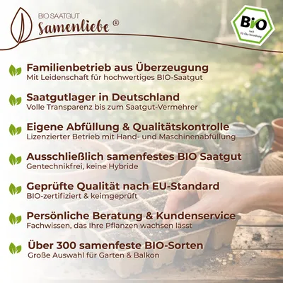 Produktbild von Samenliebe  Mangold Samen | Bright Lights - winterhart & bunt - samenfestes  Saatgut