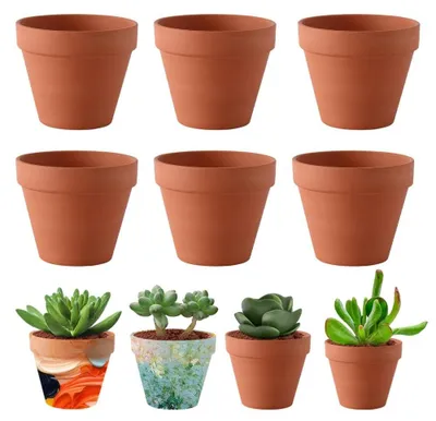 Productafbeelding van Omgoods - Set van 6 Terracottapotjes met Afvoergat, 10 cm
