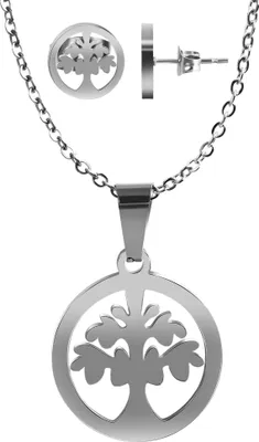 Produktbild von Edelstahlschmuckset, silberfarbige Kette mit Anhänger und Ohrstecker