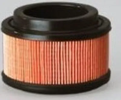 Produktbild von Luftfilter DONALDSON P500196
