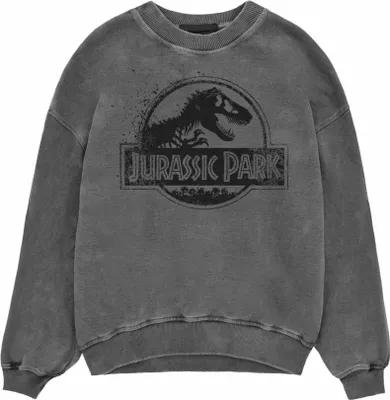 Image de Jurassic Park - Sweat-shirt Homme/Femme Unie HE1266 (M) (Noir)