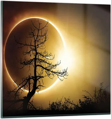 Produktbild von Bilder auf glas - Einteilig - Sonnenfinsternis die Sonne Baum - 30x30cm - Glasbilder - Wandbilder - Bilder - Wanddekoration aus Glas - Glas Bilder - Wandbild auf Glas - GAC30x30-4349