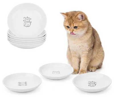 Productafbeelding van Set van 6 Keramische Voerbakken voor Katten