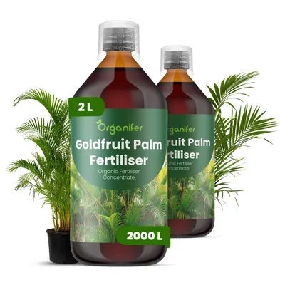 Obrázek produktu pro Goldfrucht Palma Tekuté Hnojivo 2x1 L – 2-1-8 NPK – Pro Goldfrucht Palmy – Podporuje Rovnomerný Růst & Silný Vývin – Organifer