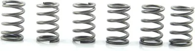 Immagine prodotto di Kit 6 molle frizione EBC CSK171 per Suzuki GSX 1300