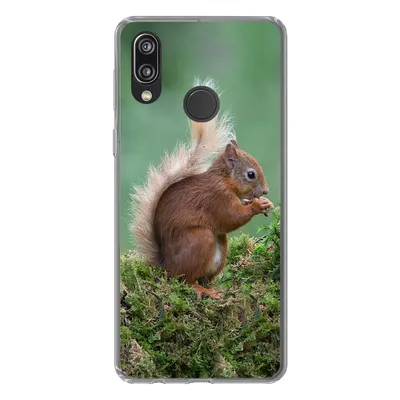 Produktbild von MuchoWow® Handyhülle Schutzhülle Hülle für Huawei P20 Lite (2020) Waldtier - Eichhörnchen - Moos Silikon Softcase Handy Hülle - Kartenhalter