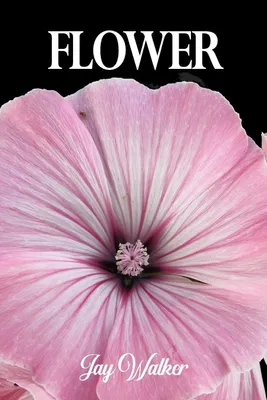 Produktbild von Flower