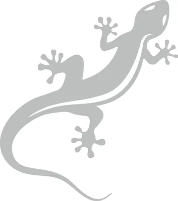 Produktbild von Hermann Schütz Aufkleber Gecko silber 115x95mm