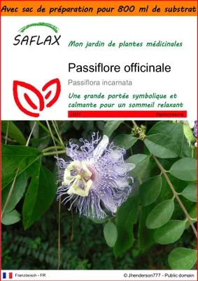 Image de SAFLAX Garden in the bag - Passiflore officinale - 5 graines - Passiflora