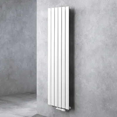 Image de doporro Radiateur pour Chauffage Central 160x46cm Radiateur à Eau Chaude Panneau Monocouche Design Vertical Blanc FV