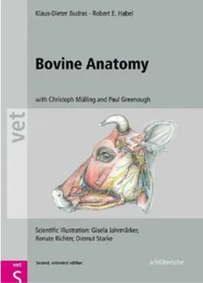 Image de Bovine Anatomy