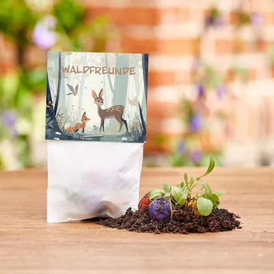 Produktbild von 50 Blumenmurmeln im Tütchen Waldfreunde – 10 Tütchen mit je 5 bunten Seedbombs – nachhaltiges Mitgebsel für Kindergeburtstag & Kita – Wildblumen für Bienenfreundlichkeit