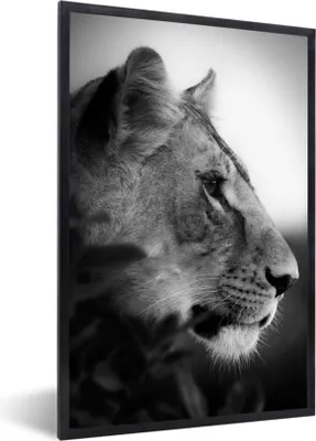 Produktbild von MuchoWow® Gerahmtes Poster Porträt eines Tigers im Dschungel - schwarz und weiß 60x90 cm - Poster mit Schwarzem Bilderrahmen Wandposter Rahmen Foto Bilder - Kunst