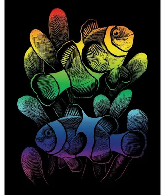 Obrázok produktu pre PRACHT Škrabacie obrázky Rainbow Clownfisch 20,3 x 25,4 cm