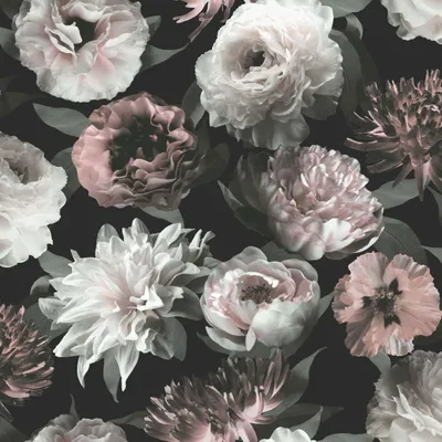 Produktbild von ESTAhome Tapete Blumen Schwarz, Weiß und Hellrosa 53 cm x 10.05 m