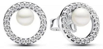 Obrázok produktu pre Pandora Model 291248C01