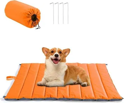 Produktbild von Famanu Hundebett faltbar wasserdicht - Outdoor Camping Hundebett - Picknick Hundebett waschbar - mittelgroße Hunde - Tragetasche - 104 x 96 cm