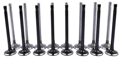 Immagine prodotto di Valvole per motore a benzina - Set di valvole di aspirazione e scarico - 16 pezzi (8+8) - Sostituisce i codici 036109601AD e 036109611AE