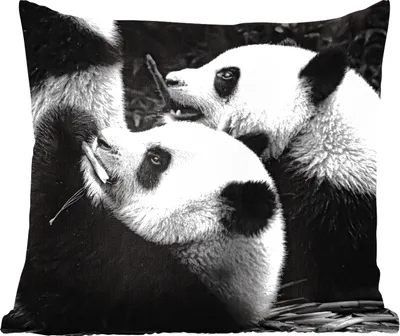 Produktbild von MuchoWow® Zierkissen Sofakissen Wohnzimmer Dekokissen 45x45 cm Pandas - Schwarz - Weiß - Schlafpolster - Polster für das Sofa