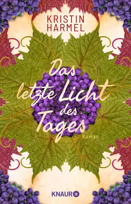 Obrázek produktu pro Das letzte Licht des Tages