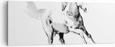 Produktbild von Bild auf Leinwand - Leinwandbild - Einteilig - Pferd Galopp Tier - 140x50cm - Wand Bild - Wanddeko - Wandbilder - Leinwanddruck - Bilder - Wanddekoration - Leinwand bilder - Wandbild - AB140x50-5117