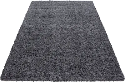 Image de Dream Shaggy tapis poils longs rectangle 80x150cm gris