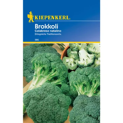Produktbild von Kiepenkerl Brokkolisamen Calabrese natalino