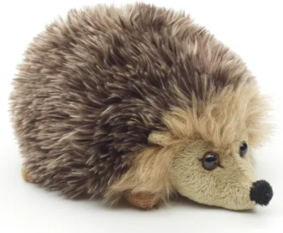 A plush toy hedgehog is shown against a white background.