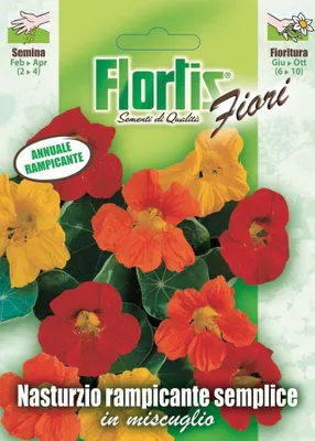 Produktbild von Kletternde Kapuzinerkresse Mischung | Kapuzinerkressesamen von Flortis