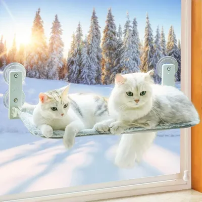 Produktbild von Katzen Hängematte Fensterplätze für Katzen 52x30cm Klappbar Katzenbett Fenster mit Stabil Saugnäpfe bis zu 18kg (Grau, Groß)