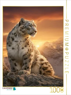 Produktbild von CALVENDO Puzzle Ein Motiv aus dem Kalender Im Herz der Wildnis | 1000 Teile Lege-Größe 64x48cm Foto-Puzzle für glückliche Stunden