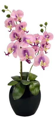 Kunstorchidee Phalaenopsis in Keramikvase, 63 cm, rosa