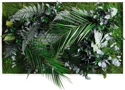 Produktbild von Pflanzenbild Dschungeldesign Rahmen weiß 100x60 cm