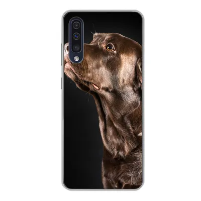 Produktbild von MuchoWow® Handyhülle Schutzhülle Hülle für Samsung Galaxy A50 Hund - Braun - Porträt Silikon Softcase Handy Hülle - Mobiltelefonhülle