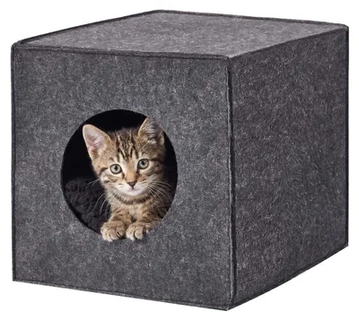 Produktbild von Relaxdays Katzenhöhle, Filz, HxBxT: 33 x 33 x 37 cm, Katzenhaus für Regale, faltbar, mit Kissen, Katzenbett, dunkelgrau