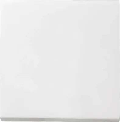 Produktbild von GIRA 029627 Wippe System 55 Reinweiß seidenmatt