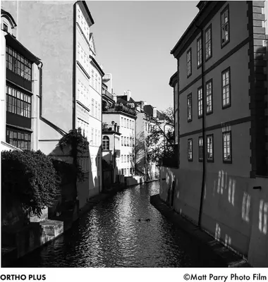 Produktbild von Ilford Ortho Plus 135-36 Fotofilm    One Size