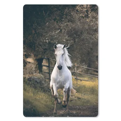 Produktbild von MuchoWow® Mauspad Mousepad Pferd - Natur - Schlamm 18x27 cm - Mousepads - Maus Mat - Pad - Mausunterlage