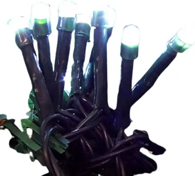 Produktbild von LED Mini-Lichterkette 20er kaltweiß / grün ein Strang innen 09236